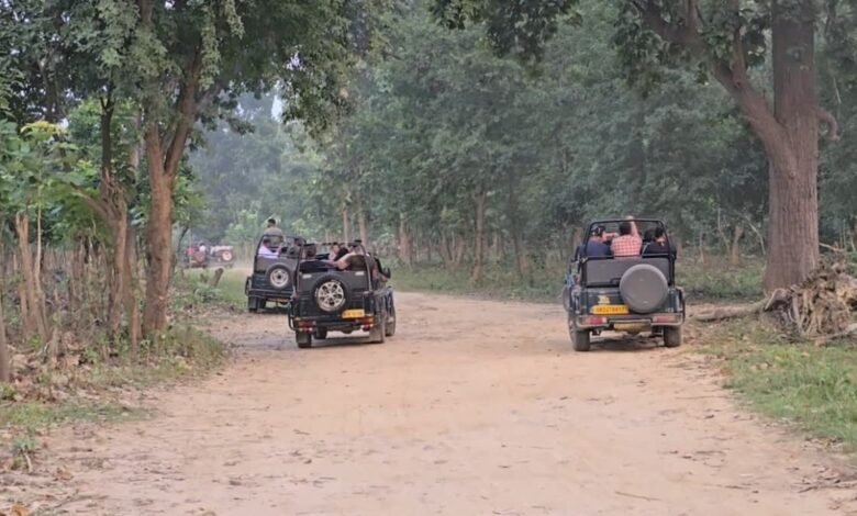 15 नवंबर से खुलेगा ढिकाला पर्यटन जोन, 21 दिसंबर तक बुकिंग फुल, पर्यटकों में जबरदस्त क्रेज