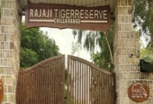 राजाजी और फूलों की घाटी के ईको-सेंसिटिव जोन का दायरा तय करने की कवायद तेज, पढ़ें पूरी खबर