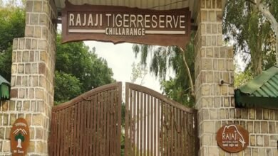 राजाजी और फूलों की घाटी के ईको-सेंसिटिव जोन का दायरा तय करने की कवायद तेज, पढ़ें पूरी खबर