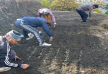 उत्तराखंड: पहाड़ में खेती को मिलेगी नई रफ्तार, जापान के 500 करोड़ से संवरेंगे 16 ब्लॉक