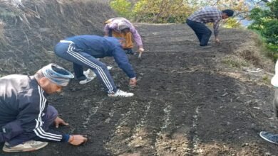 उत्तराखंड: पहाड़ में खेती को मिलेगी नई रफ्तार, जापान के 500 करोड़ से संवरेंगे 16 ब्लॉक