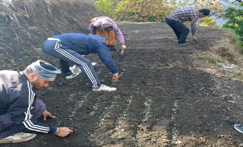 उत्तराखंड: पहाड़ में खेती को मिलेगी नई रफ्तार, जापान के 500 करोड़ से संवरेंगे 16 ब्लॉक