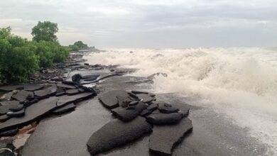 चक्रवात अर्नब का प्रकोप शुरू, आंध्र प्रदेश में आंधी तूफान के साथ भारी बारिश जारी