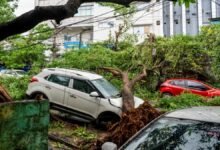 अर्नब तूफान ने आंध्र में मचायी तबाही, छह की मौत, 126 KM सड़क डैमेज, 1058 पेड़, बिजली खंभे-तार हुए तबाह