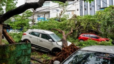 अर्नब तूफान ने आंध्र में मचायी तबाही, छह की मौत, 126 KM सड़क डैमेज, 1058 पेड़, बिजली खंभे-तार हुए तबाह