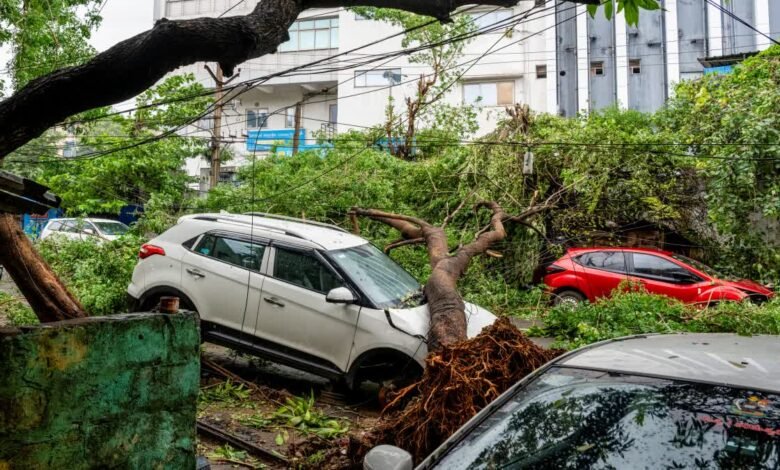 अर्नब तूफान ने आंध्र में मचायी तबाही, छह की मौत, 126 KM सड़क डैमेज, 1058 पेड़, बिजली खंभे-तार हुए तबाह अर्नब तूफान ने आंध्र में मचायी तबाही, छह की मौत, 126 KM सड़क डैमेज, 1058 पेड़, बिजली खंभे-तार हुए तबाह