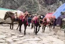 केदारनाथ में 25 टन बायो फ्यूल पेलेट्स तैयार, अब अगले चरण में बड़े स्तर पर होगा उत्पादन