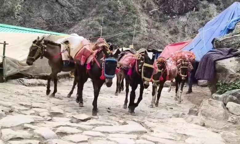 केदारनाथ में 25 टन बायो फ्यूल पेलेट्स तैयार, अब अगले चरण में बड़े स्तर पर होगा उत्पादन केदारनाथ में 25 टन बायो फ्यूल पेलेट्स तैयार, अब अगले चरण में बड़े स्तर पर होगा उत्पादन